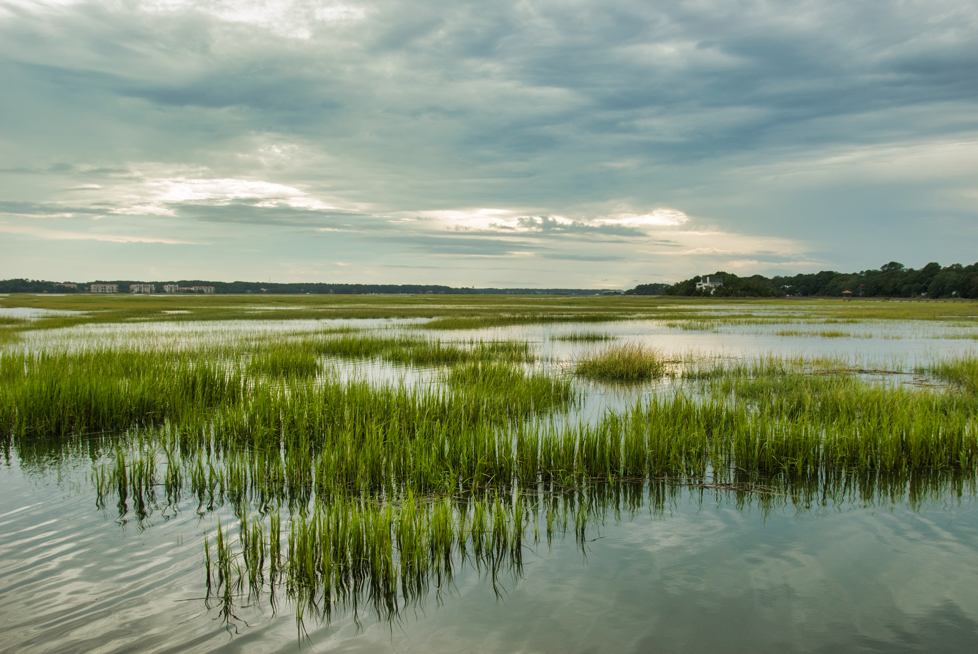 wetland
