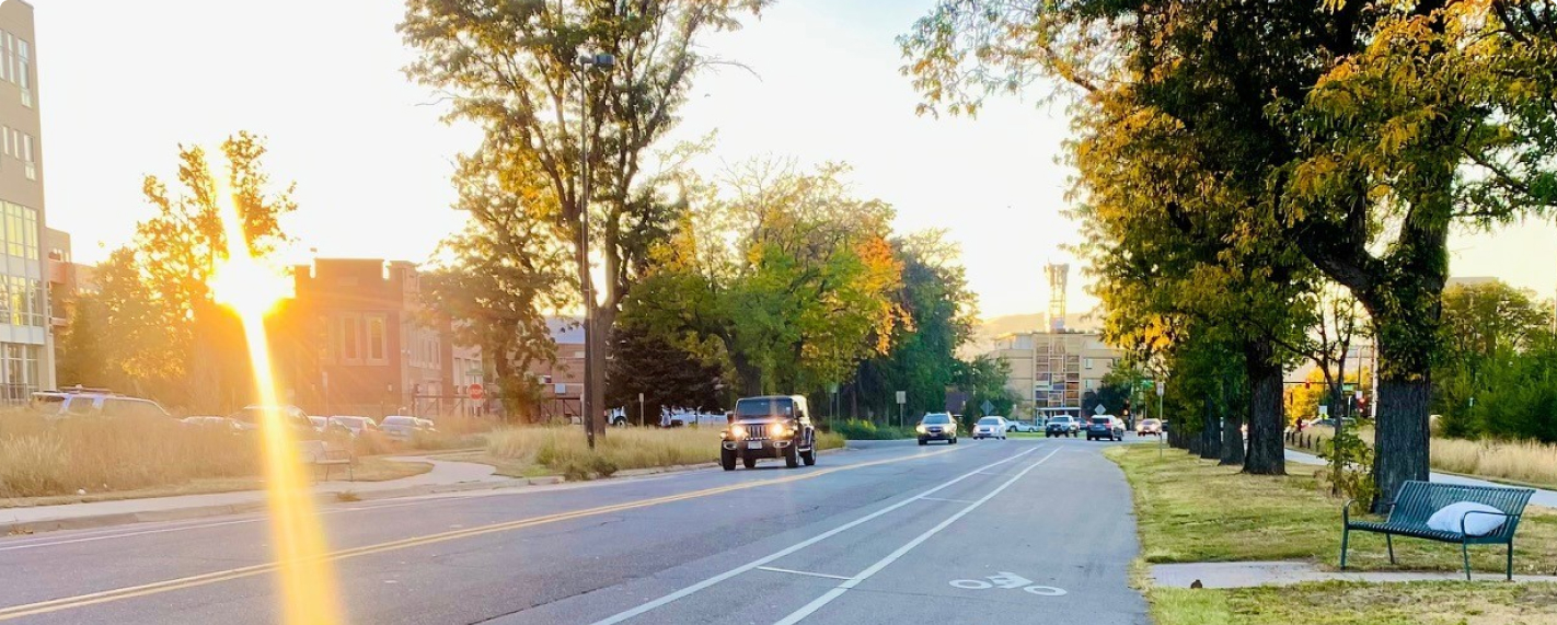 Road with trees, cars, and park bench.