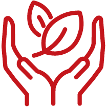 hands holding leaf icon